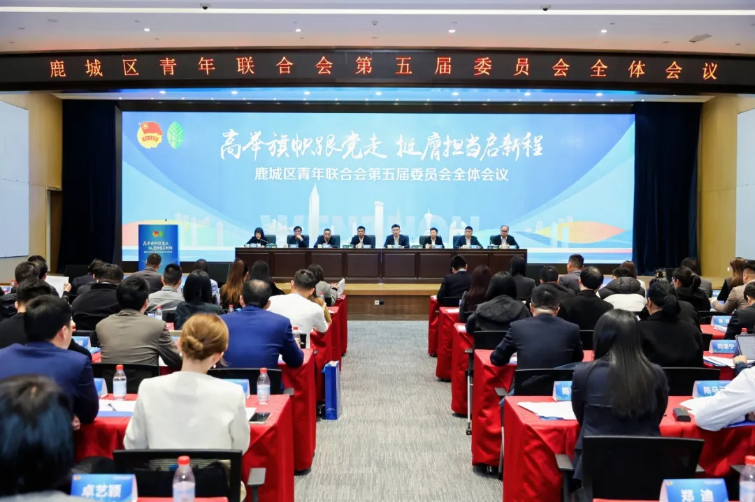 1767000622115500.png 4d54c4a9-8b04-4ee6-ab0a-33f13b8a154f.png